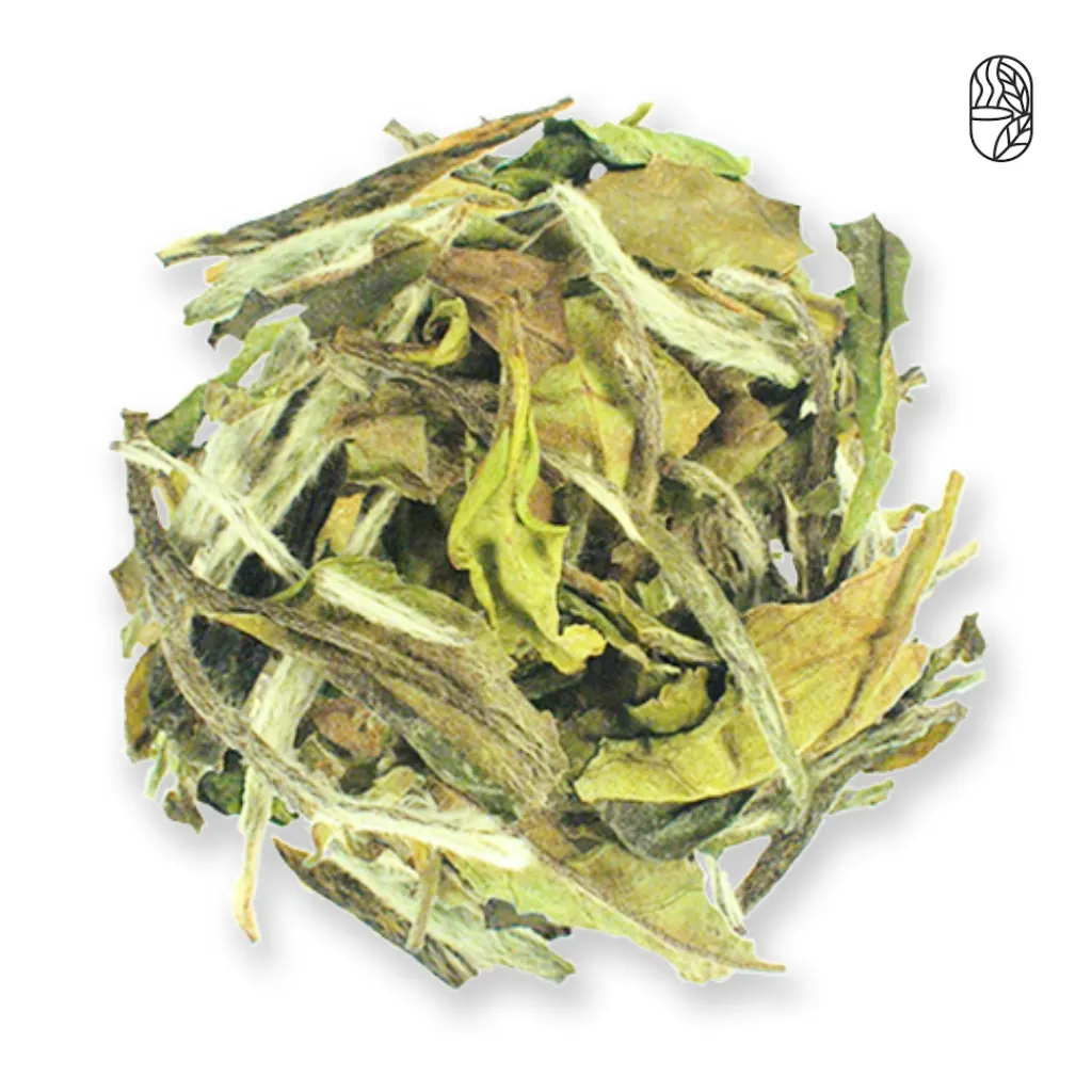 Jasmine Bai Mu Dan Tea — Jasmine Bai Mu Dan Tea - Gift Tube (30g Tube) premium tea product image | Tea Shop BD