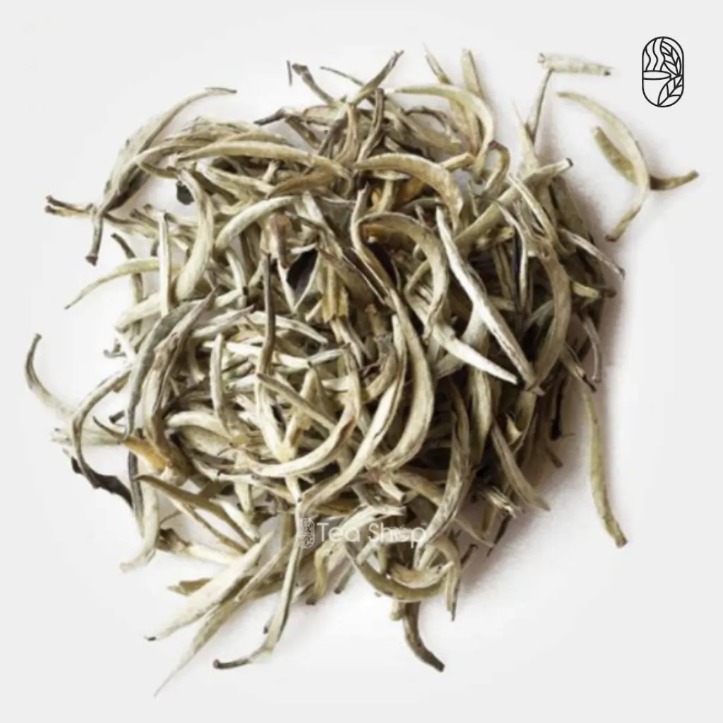 White Tea — White Tea - Gift Tube (30g Tube) premium tea product image | Tea Shop BD White Tea — White Tea - Gift Tube (30g Tube) premium tea product image | Tea Shop BD